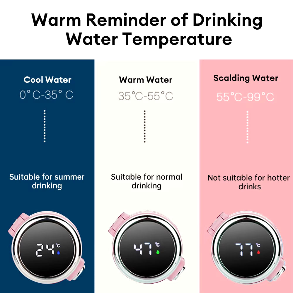 Smart LED Thermos Bottle (420ml) – Touch Display, Leak-Proof & Stylishly Insulated