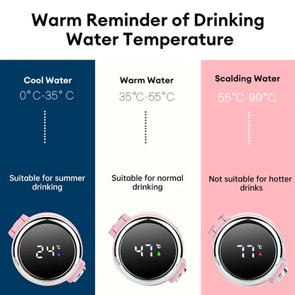 Smart LED Thermos Bottle (420ml) – Touch Display, Leak-Proof & Stylishly Insulated